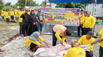 PWMOI Riau dan DNT Tour and Travel Sembelih 4 Ekor Sapi