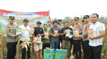 Kapolres Kuansing Hadiri Panen Raya Jagung Pipil Kuartal III di Desa Sungai Buluh, Dukung Program Asta Cita Presiden RI