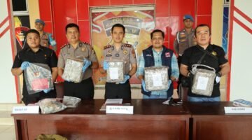 Polres Kuansing Ungkap Kasus BBM Bersubsidi dan Ganja, Empat Tersangka Diproses Hukum